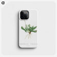 1-40_Histoire-des-Plantes-Grasses_phone