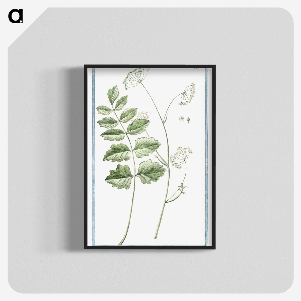 1-40_Hortus-Romanus-Botanical-Plates_blk-crop