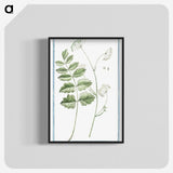 1-40_Hortus-Romanus-Botanical-Plates_blk-crop