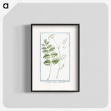 1-40_Hortus-Romanus-Botanical-Plates_blk
