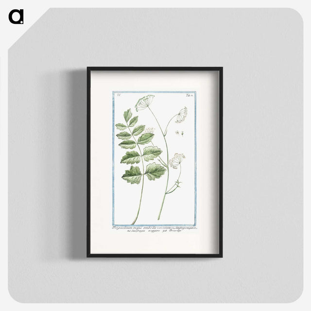 1-40_Hortus-Romanus-Botanical-Plates_blk