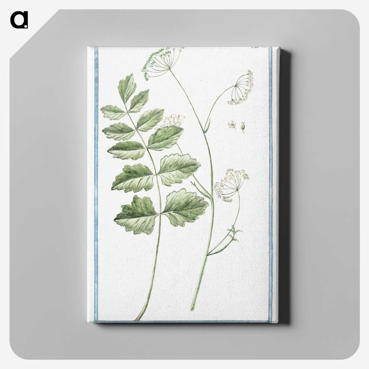 1-40_Hortus-Romanus-Botanical-Plates_canvas