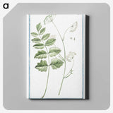 1-40_Hortus-Romanus-Botanical-Plates_canvas