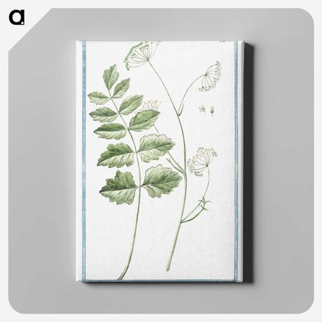 1-40_Hortus-Romanus-Botanical-Plates_canvas