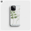 1-40_Hortus-Romanus-Botanical-Plates_phone