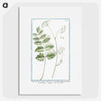 1-40_Hortus-Romanus-Botanical-Plates_picture