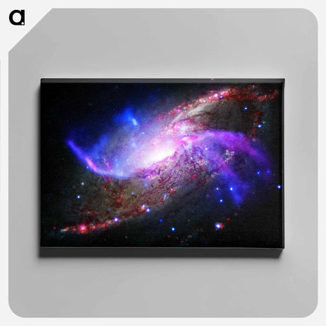 アートパネル-NGC 4258: Anomalous Arms
 - ハッブル画像 Canvas.