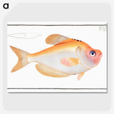 1-40_Ichtyologie-ou-Histoire-naturelle_picture-crop