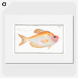 1-40_Ichtyologie-ou-Histoire-naturelle_picture