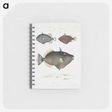 1-40_Indian-Zoology_memo