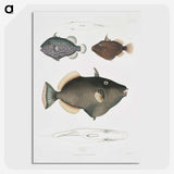 1-40_Indian-Zoology_picture-crop