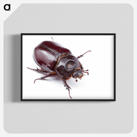 1-40_Insects-Unlocked-Project_blk-crop