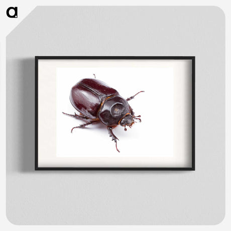 1-40_Insects-Unlocked-Project_blk