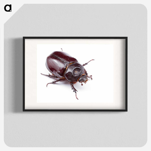 1-40_Insects-Unlocked-Project_blk