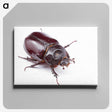 1-40_Insects-Unlocked-Project_canvas