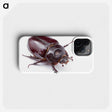 1-40_Insects-Unlocked-Project_phone