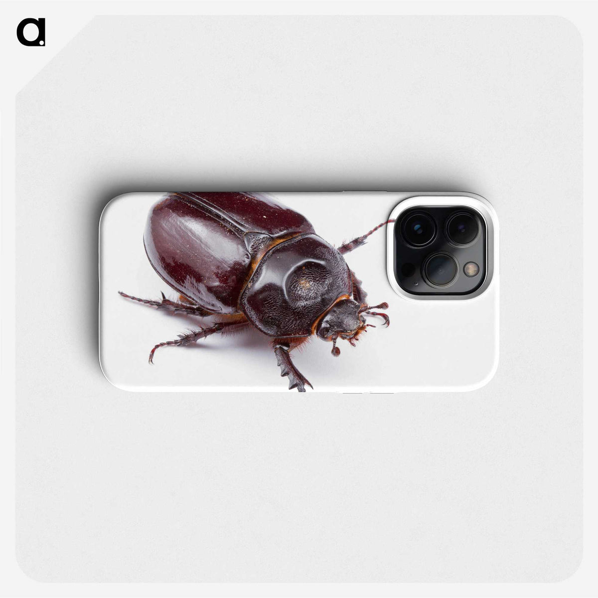 1-40_Insects-Unlocked-Project_phone