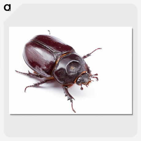 1-40_Insects-Unlocked-Project_picture-crop