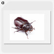 1-40_Insects-Unlocked-Project_picture
