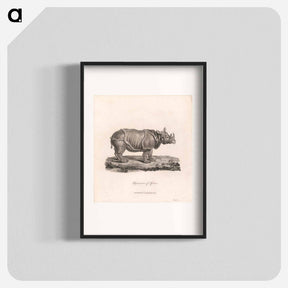 アートポスター-Rhinoceros of Africa
 - ジェームス ヒース Poster.