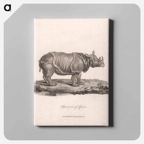 アートパネル-Rhinoceros of Africa
 - ジェームス ヒース Canvas.