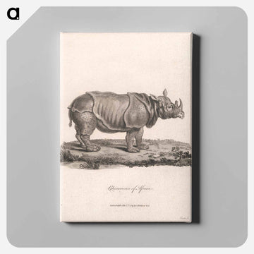 Rhinoceros of Africa
 - ジェームス ヒース Canvas.