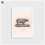 アートポストカード-Rhinoceros of Africa
 - ジェームス ヒース Postcard.