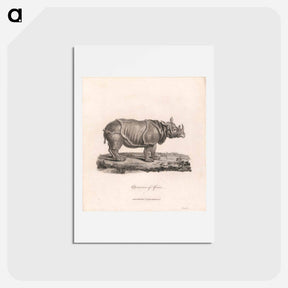 アートポストカード-Rhinoceros of Africa
 - ジェームス ヒース Postcard.