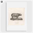 1-40_James-Heath_picture