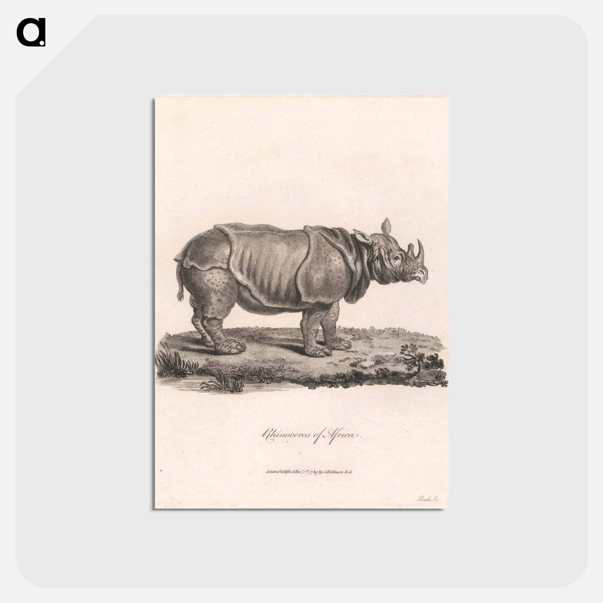 アートポストカード-Rhinoceros of Africa
 - ジェームス ヒース Postcard.