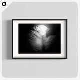 1-40_James-Walter-Chapman-Taylor_blk