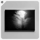 1-40_James-Walter-Chapman-Taylor_canvas