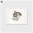 アートポストカード-Sketch of a cat - ジャン ベルナール Postcard.