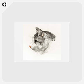 アートポストカード-Sketch of a cat - ジャン ベルナール Postcard.