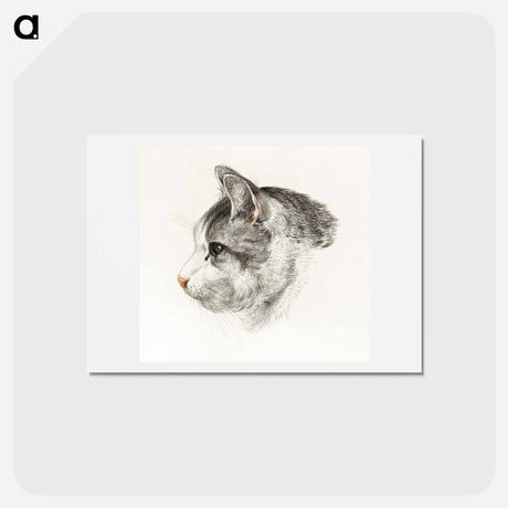 アートポストカード-Sketch of a cat - ジャン ベルナール Postcard.