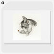 1-40_Jean-Bernard_picture