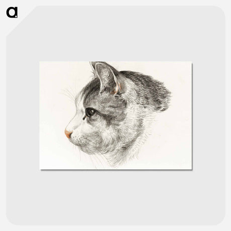アートポストカード-Sketch of a cat - ジャン ベルナール Postcard.