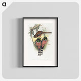 1-40_John-Gould_blk