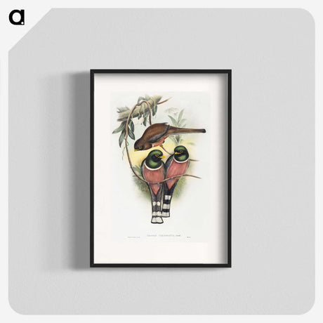 1-40_John-Gould_blk