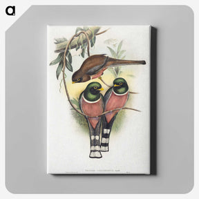 1-40_John-Gould_canvas