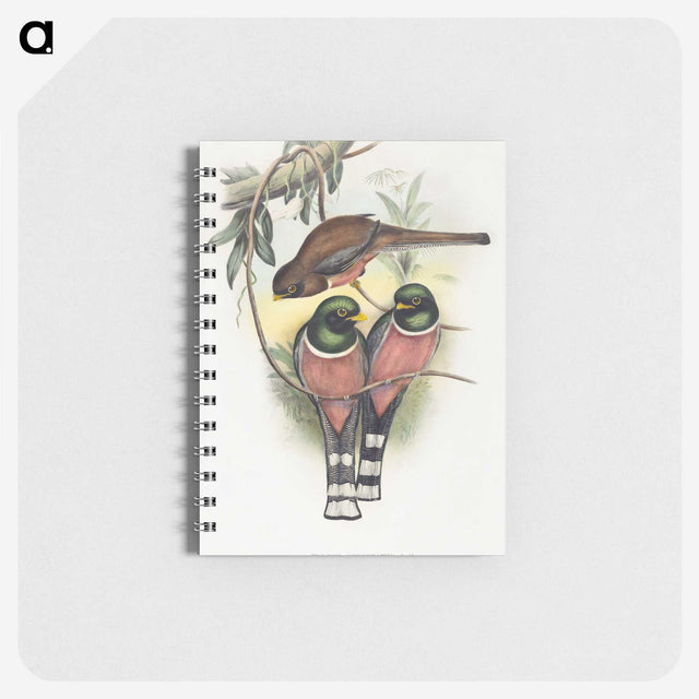 1-40_John-Gould_memo
