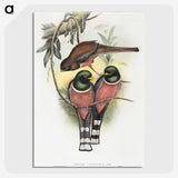 1-40_John-Gould_picture-crop
