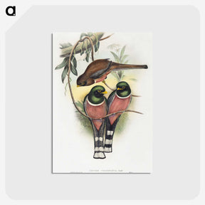 1-40_John-Gould_postcard