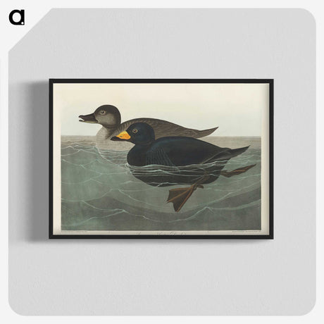 1-40_John-James-Audubon_blk-crop