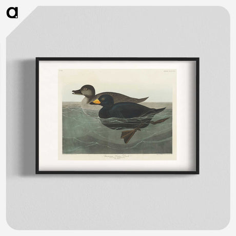 1-40_John-James-Audubon_blk