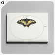 1-40_Joris-Hoefnagel_canvas
