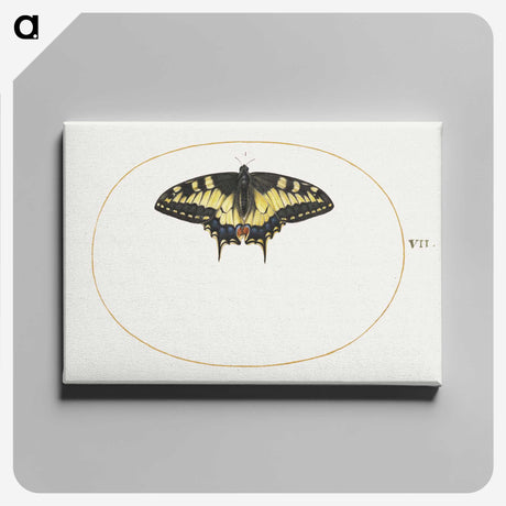 1-40_Joris-Hoefnagel_canvas