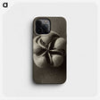 1-40_Karl-Blossfeldt_phone