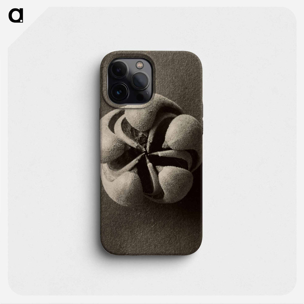 Blumenbachia hieronymi - Karl Blossfeldt Phone Case.