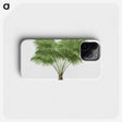 1-40_Les-Palmiers-Histoire-Iconographique_phone